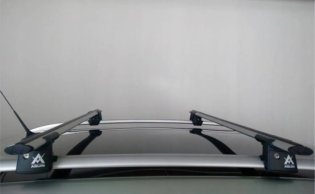Автобагажник на дах для FORD Kuga SUV 2020> Aguri Runner Silver